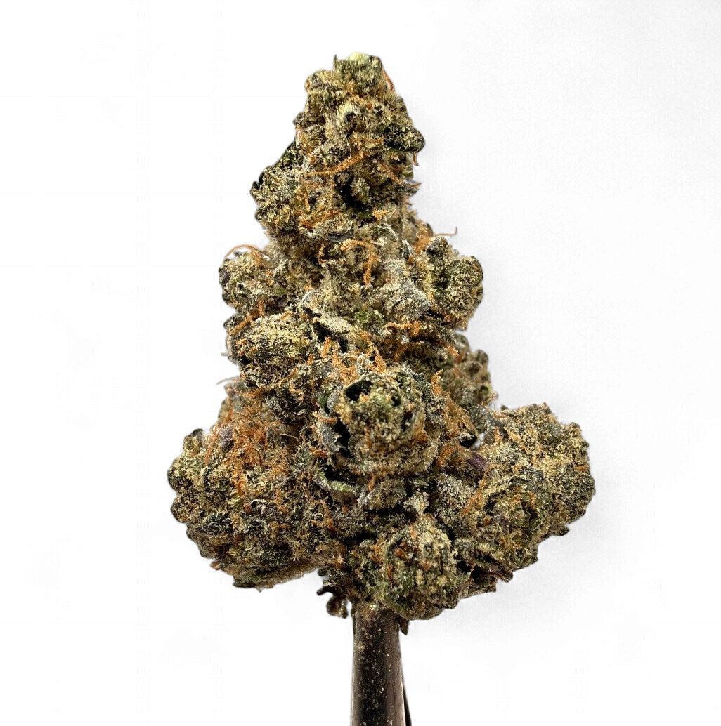 AAA Exotic THCA Flower Chocolate Truffle (I)