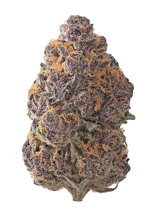 AAA Exotic THCA Flower Miami Mama (H)