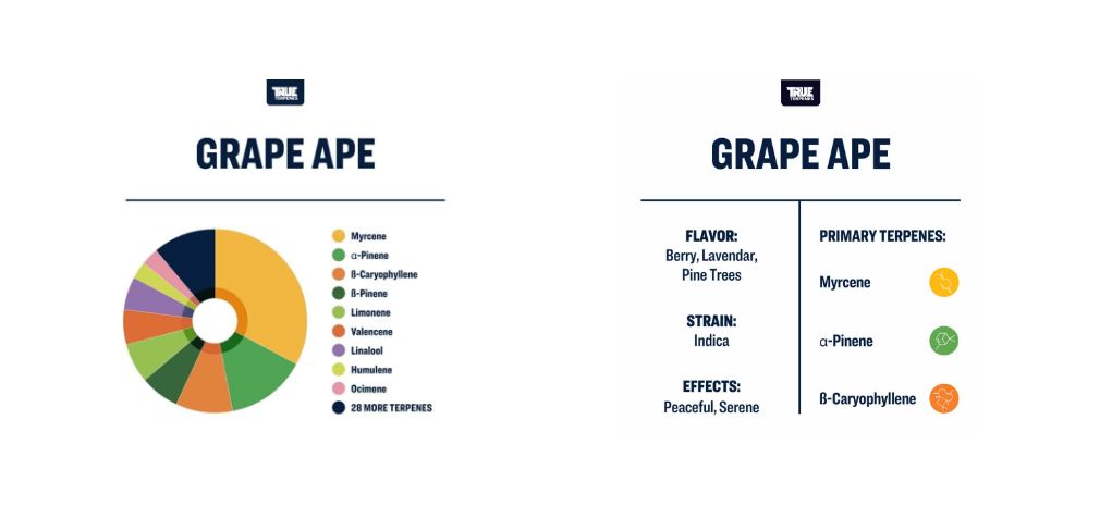 Delta 9 THC 30MG All Day Indica Gummies - Elderberry 1ct