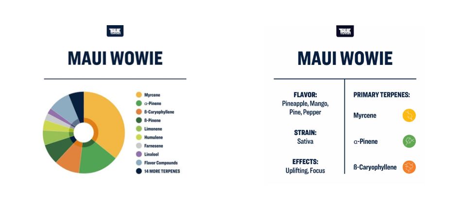Delta 9 THC 30MG All Day Sativa Gummies - Mandarin Orange 1ct