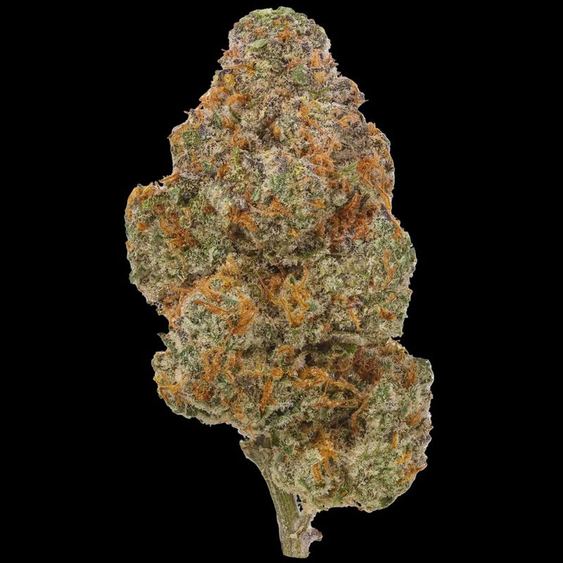 Premium THCA Flower (H) Dulce de Fresca