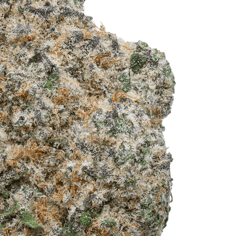 Premium High THCA Flower Black Ice (I) 24.59% THCA
