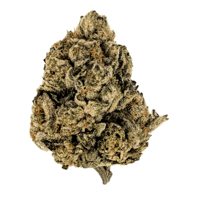 Premium THCA Flower Gorilla Glue (H) 32.79% THCA