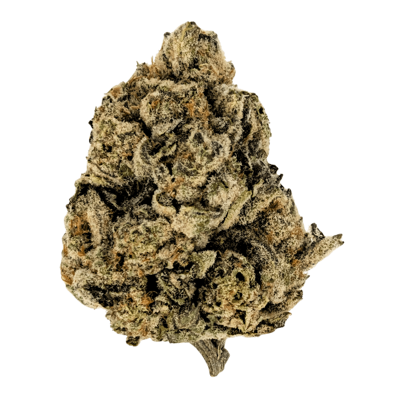 Premium THCA Flower Gorilla Glue (H) 32.79% THCA Premium THCA Flower Gorilla Glue (H) 32.79% THCA