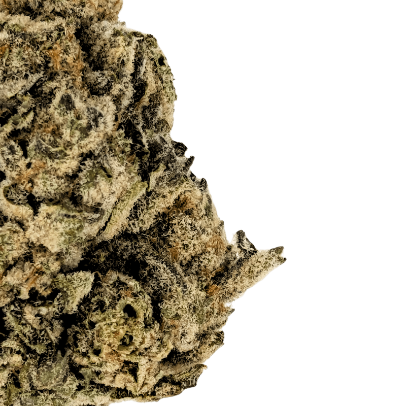 Premium THCA Flower Gorilla Glue (H) 32.79% THCA