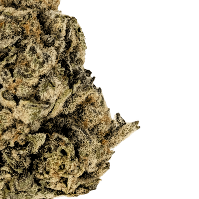 Premium THCA Flower Gorilla Glue (H) 32.79% THCA