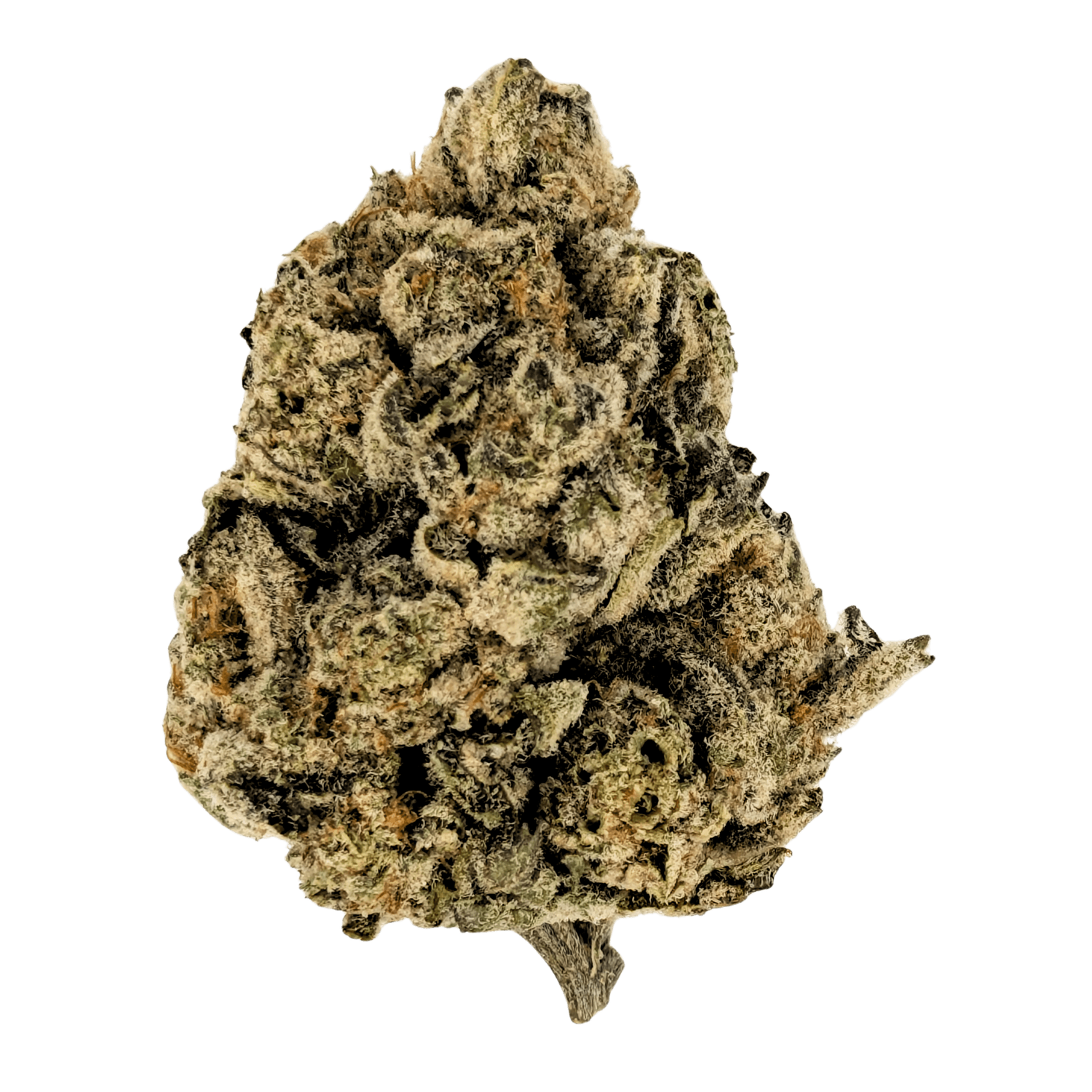 Premium THCA Flower Gorilla Glue (H) 32.79% THCA, Weight: 3.5g (1/8 oz)