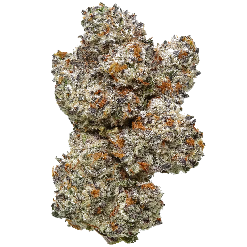 Premium THCA Flower Octane Mintz (I) 24.47% THCA
