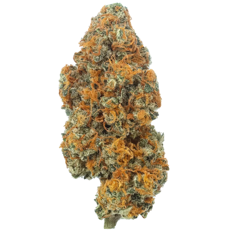 Premium Indoor CBD Strawberry Lemon Kush (H)