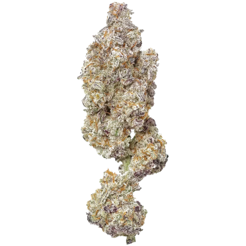 Premium THCA Flower MAC 1 (H) 29.76% THCA