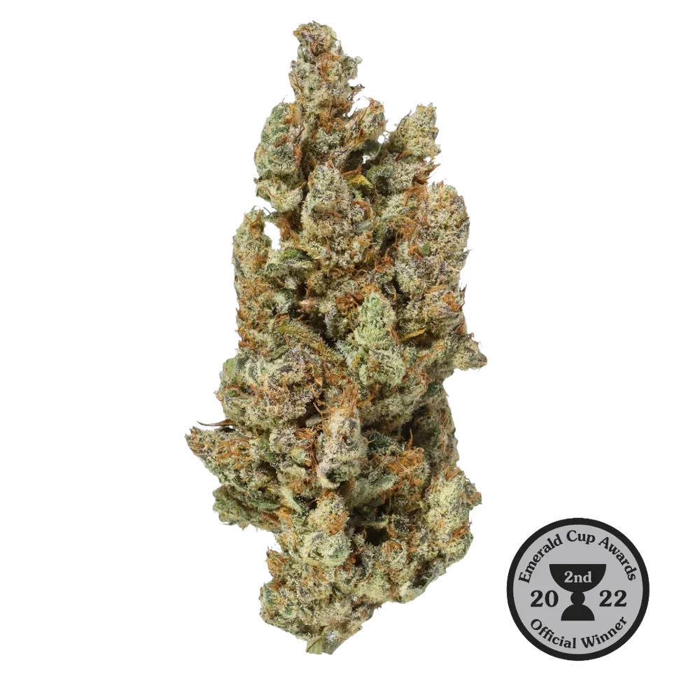 Premium Indoor CBD Flower Grapefruit (S) 24.5% CBD