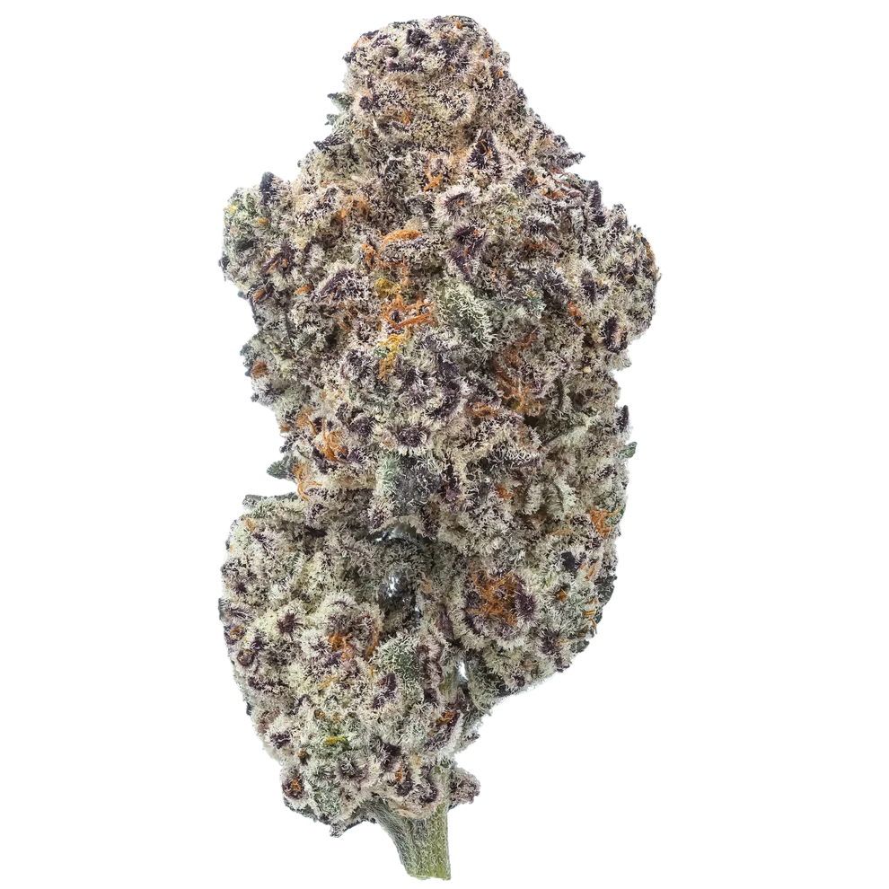 Premium High THCA Flower (H/S) Pink Piña 42.35% THCA Premium High THCA Flower (H/S) Pink Piña 42.35% THCA