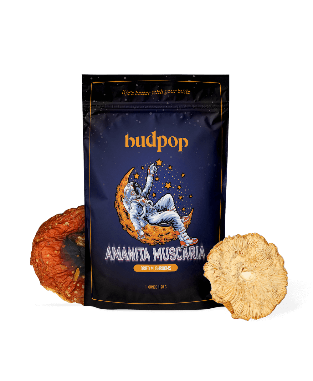 Dried Amanita Muscaria Mushrooms 1oz Dried Amanita Muscaria Mushrooms 1oz