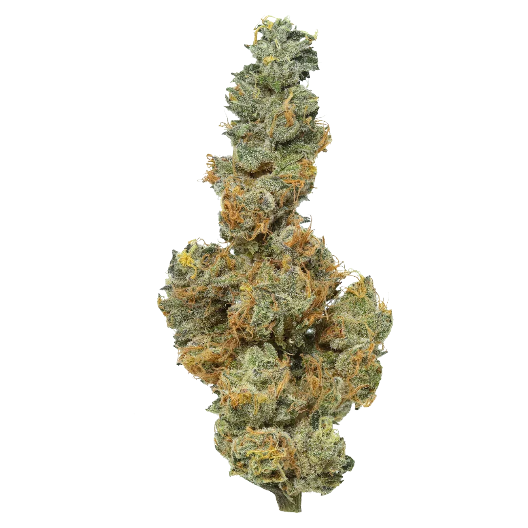 Premium Indoor CBD (S) Applesauce 17.69% 3.5G