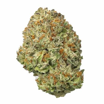 Ships From NC: Platinum Cookies (29.780%) THCa Flower *Limited Supply