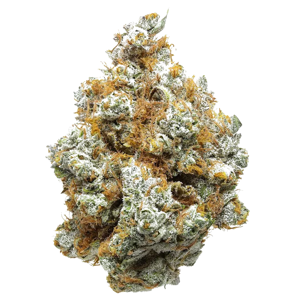 Premium CBG Flower (S) White Cheddar 7.71% CBGa *Coming Soon