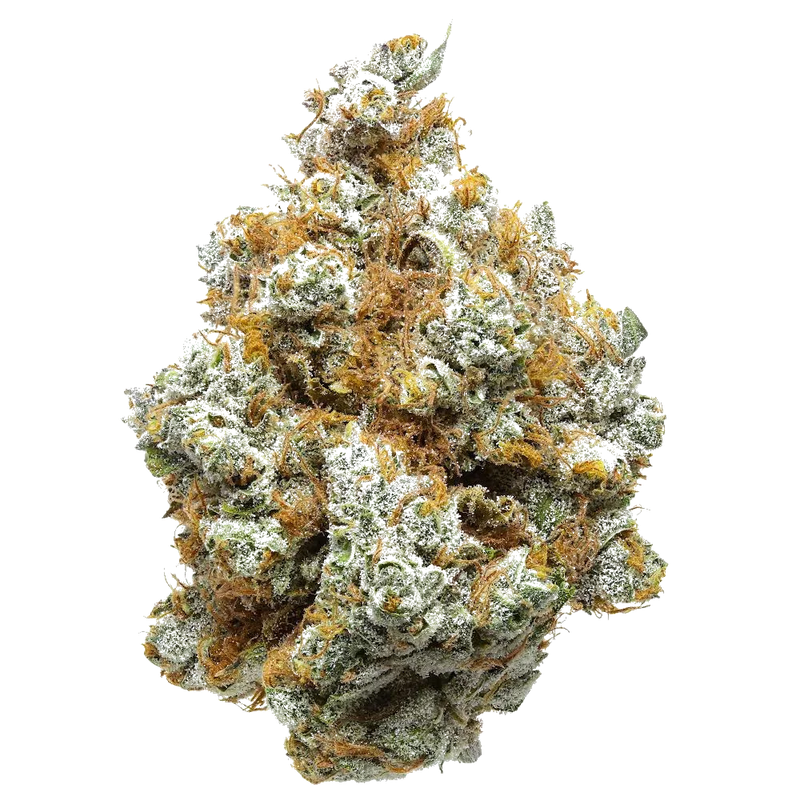 Premium CBG Flower (S) White Cheddar 7.71% CBGa