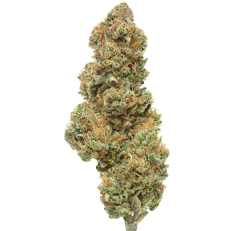 CBD Flower Premium Indoor  (I) Mystery Oz 15.96% CBD