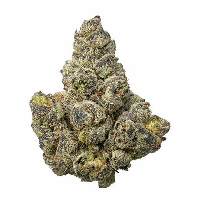 SHIPS from NC: Too Cool (31.059%) THCa Flower