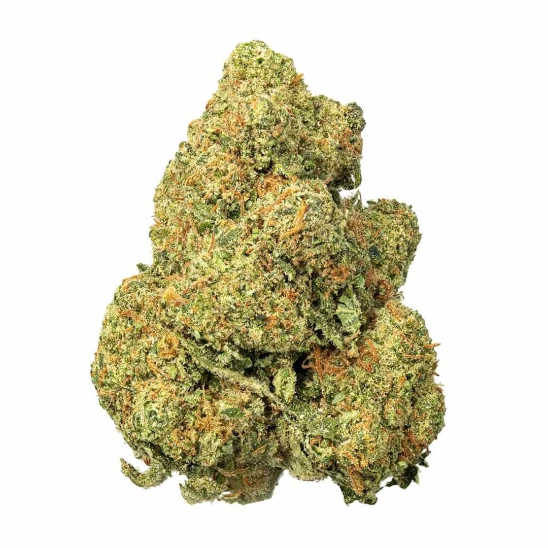 SHIPS from NC: SFV OG (30.497%) THCa Flower, Strain Type: Indica, Weight: 3.5g