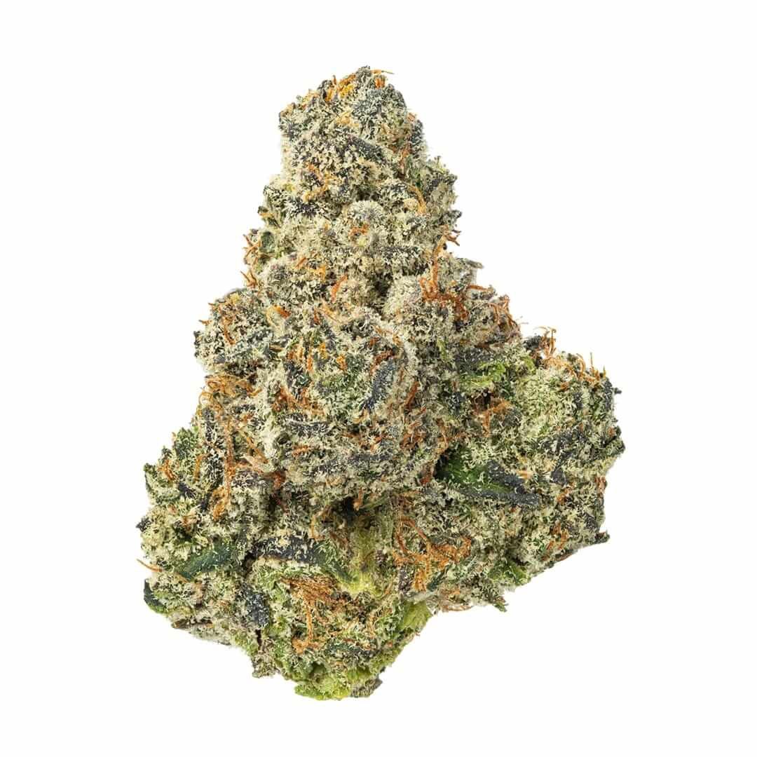 Living Soil THCA Flower (S) Mango Haze 31.41% THCA (This That)