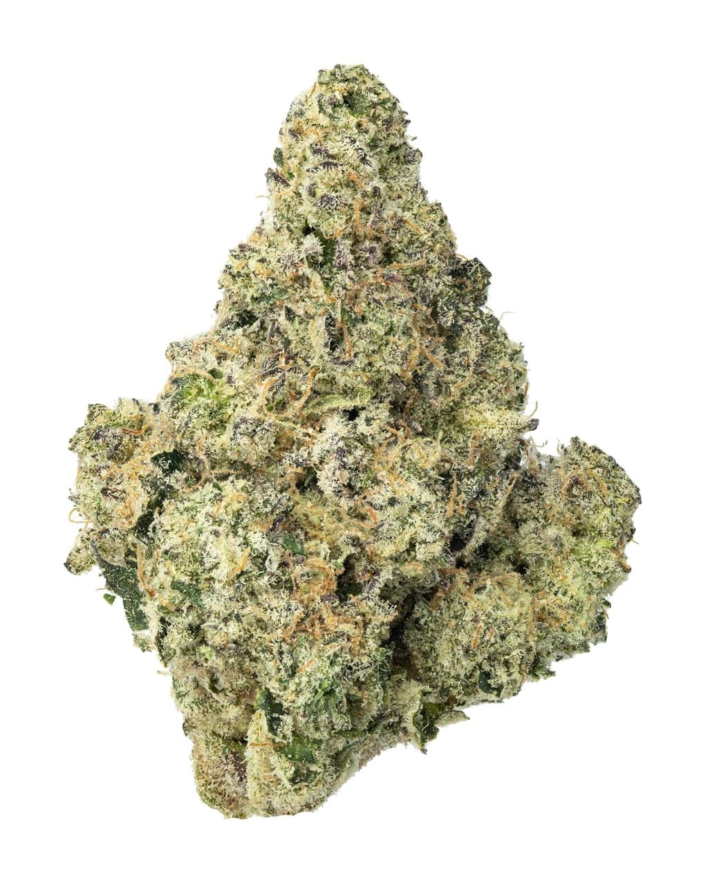 Living Soil Maltese Tiger (H) 31.413% THCa (ThisThat)