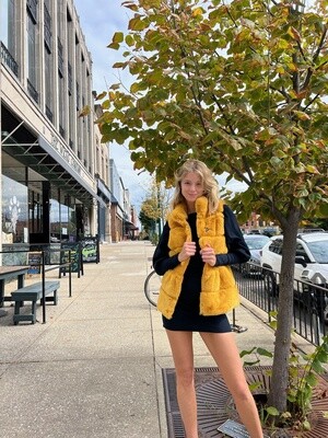 Yellow Fur Vest