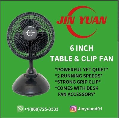 “6” inch mini Fan