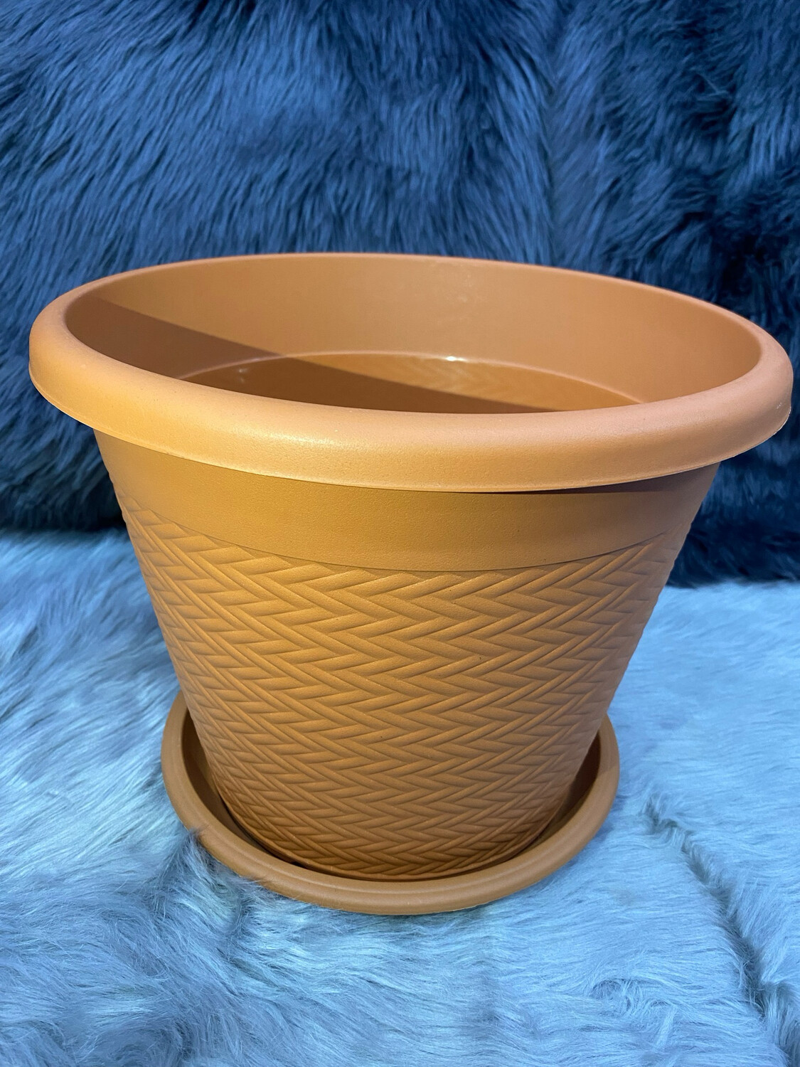 Plant Pot