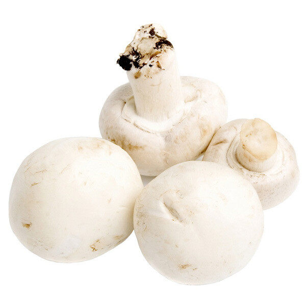 CHAMPIÑON GRANEL
