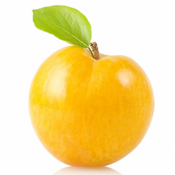 CIRUELA AMARILLO