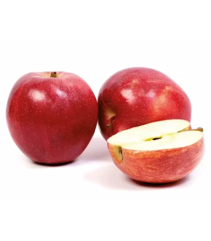 MANZANA ROYAL GALA