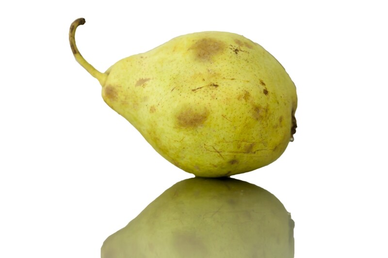 PERA BLANQUILLA