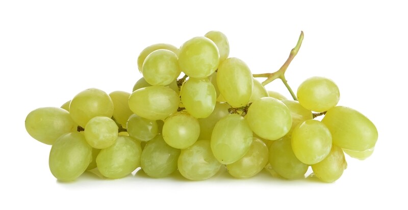 UVA BLANCA
