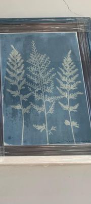Cyanotype - Art in Prussian Blue