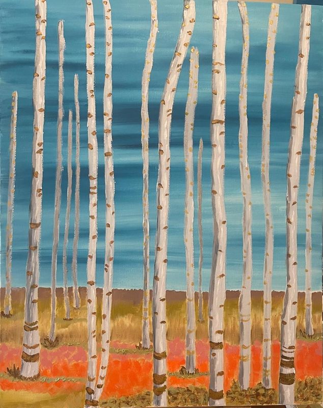 Bare Birch Grove