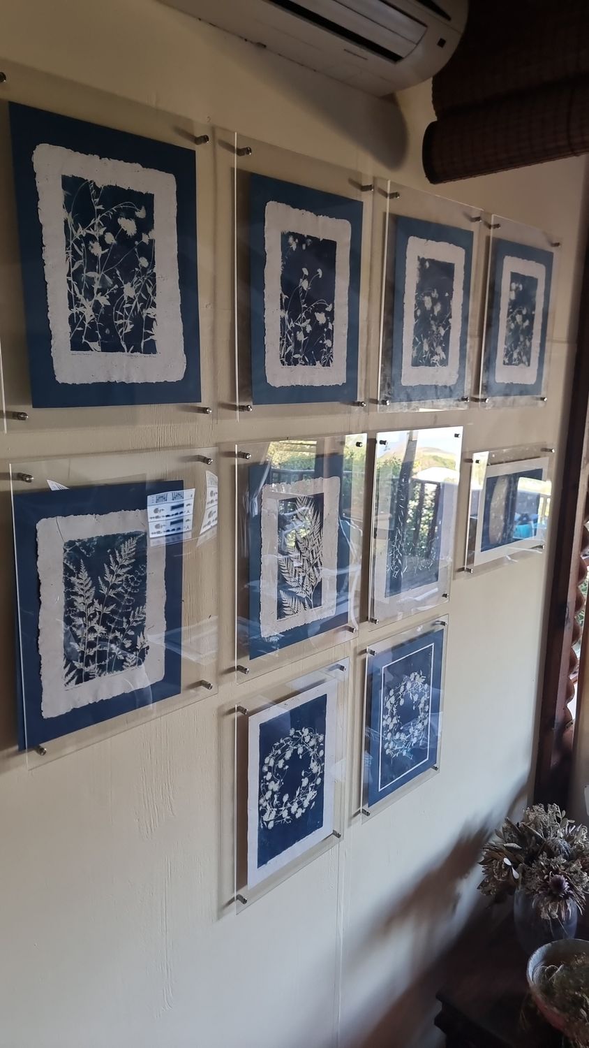 Cyanotype Botanicals