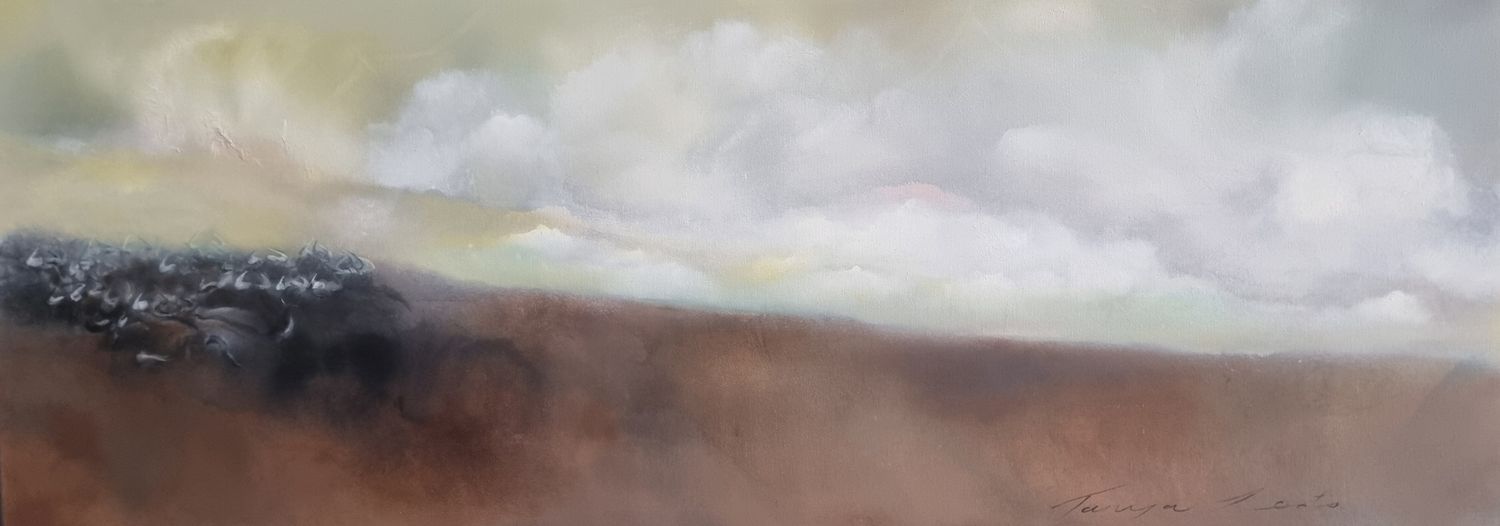 Migration - 2019