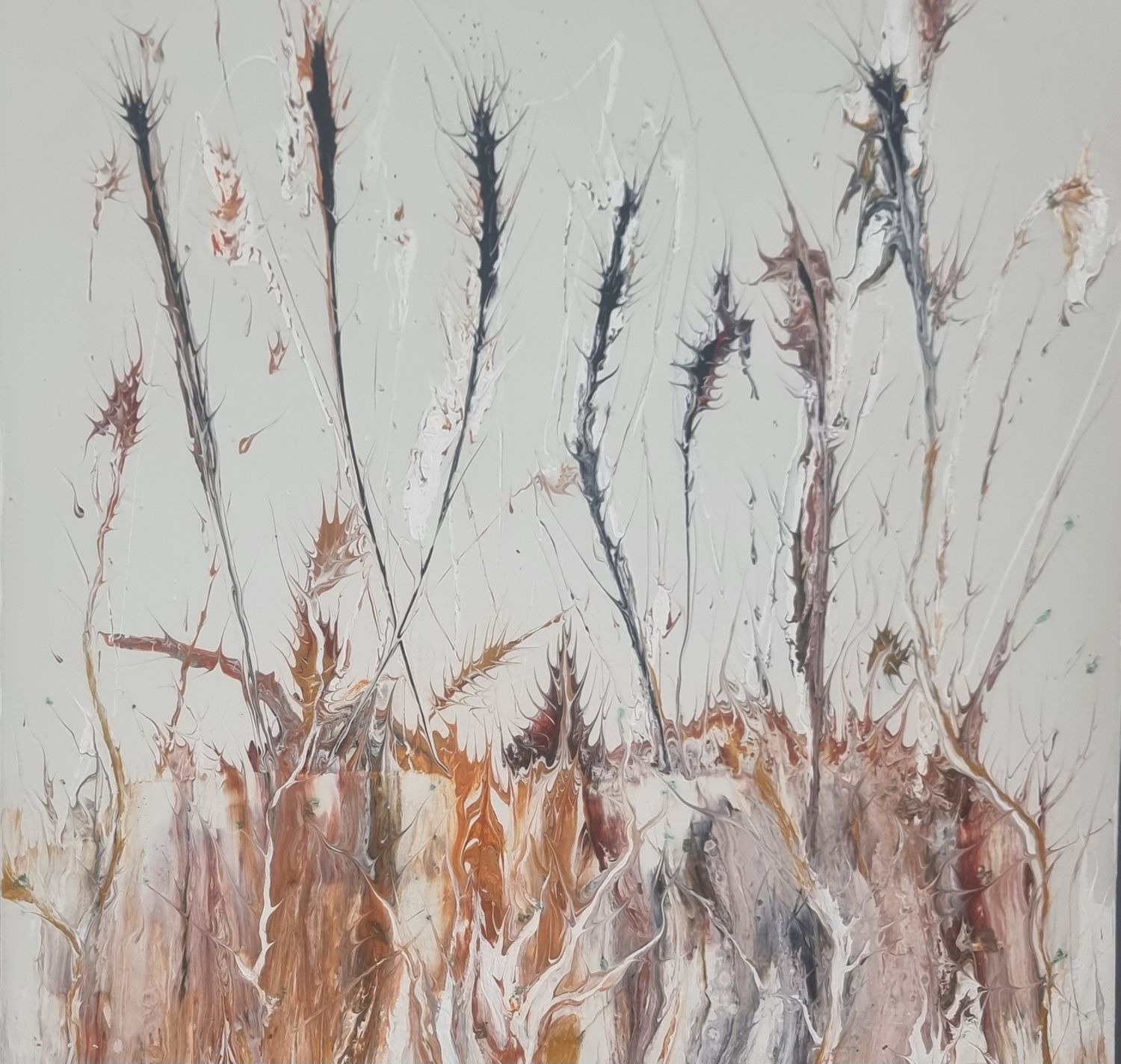 Corn Fields