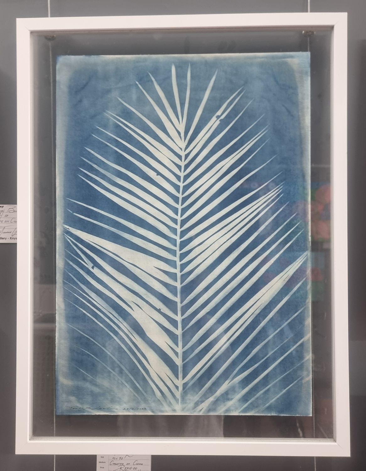Palm Leave - Cyanotype 2023