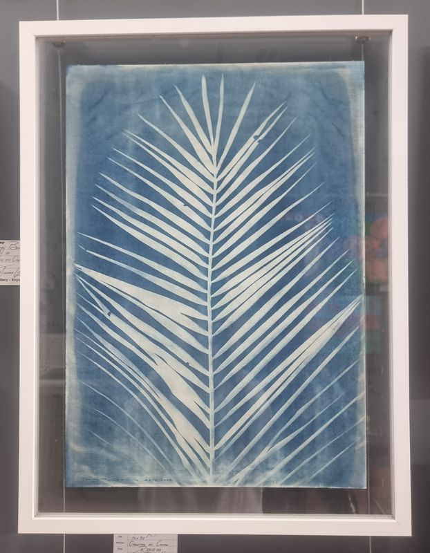 Palm Leave - Cyanotype 2023