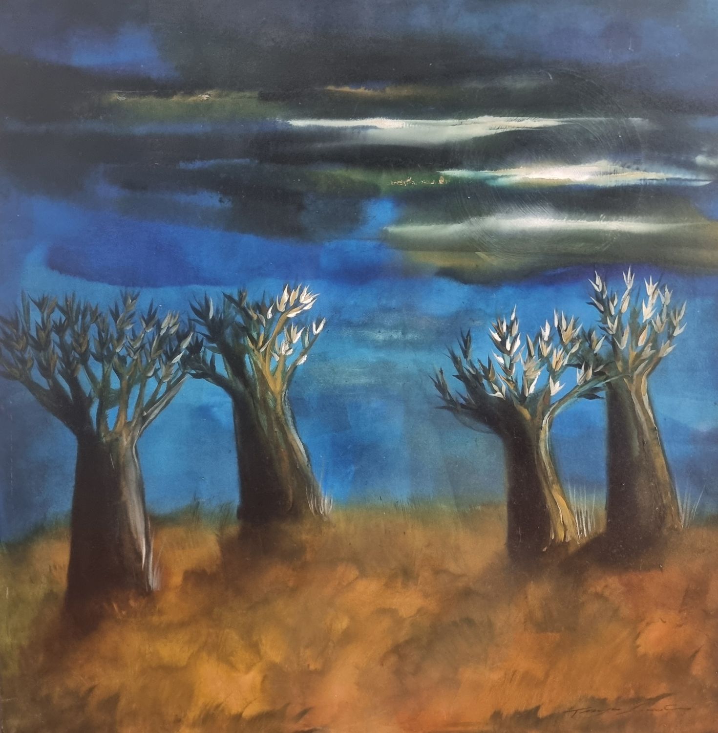 Namibia Quiver Tree - 2007