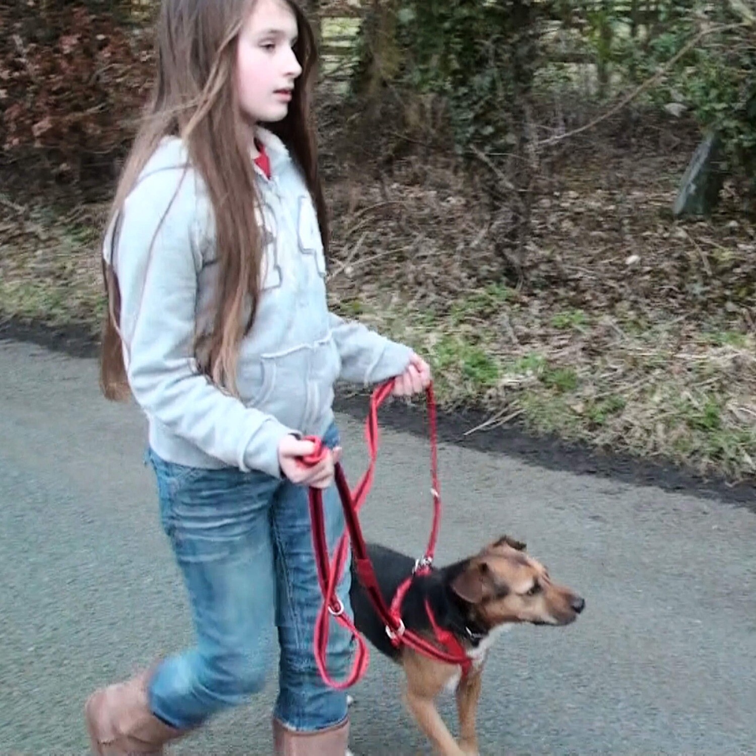 Mekuti Balance Harness ONLY, Size: Medium, Colour: Red