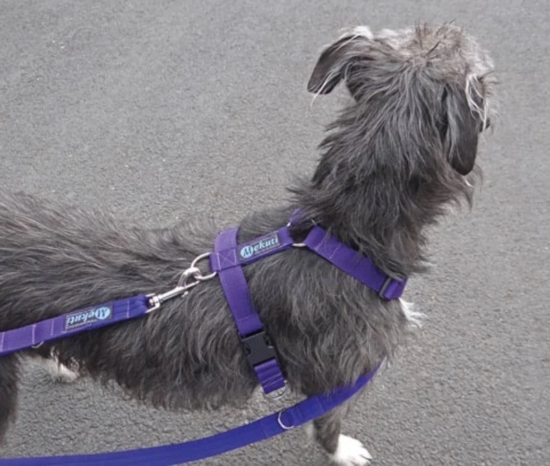 Mekuti Balance Harness & Lead Set to stop dog pulling