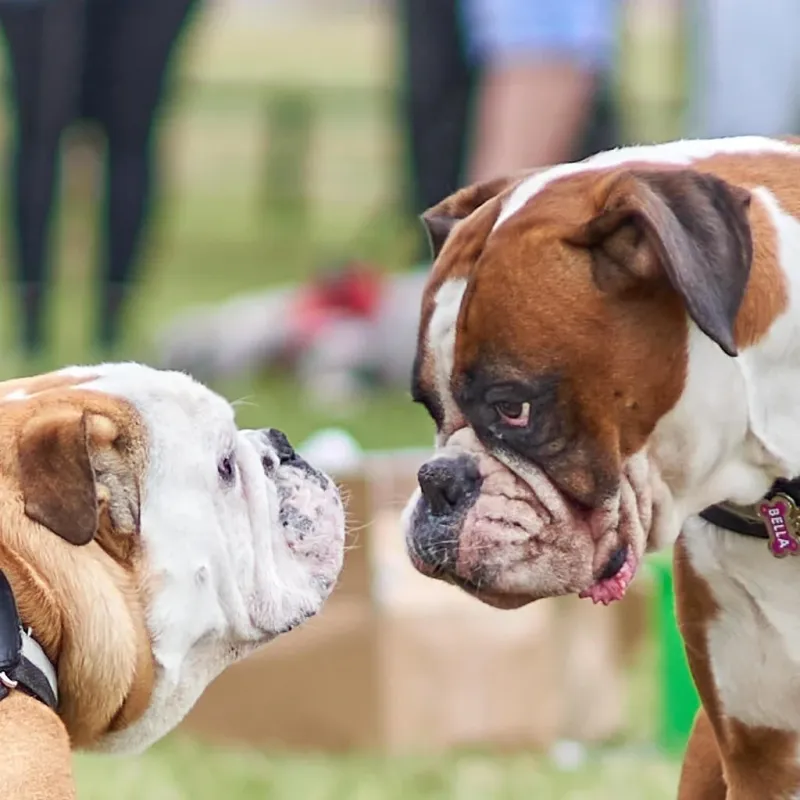 Mekuti Gift Card Mekuti Gift Card