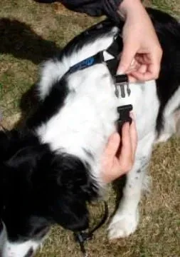 Mekuti Balance Harness with NECK CLIP Mekuti Balance Harness with NECK CLIP