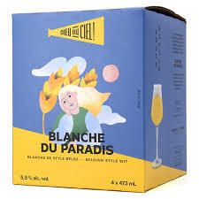 Dieu du Ciel au choix 4-pack