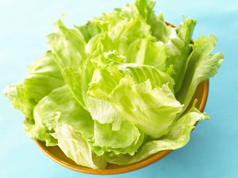 Laitue Iceberg