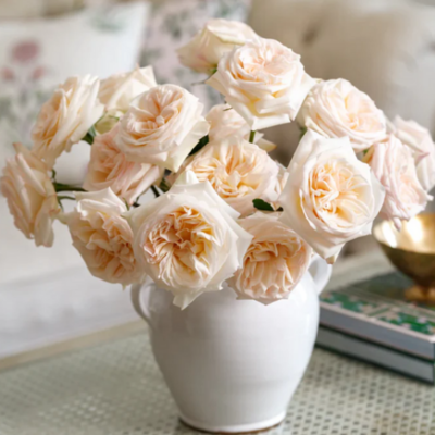 White O&#39;Hara Cut Roses