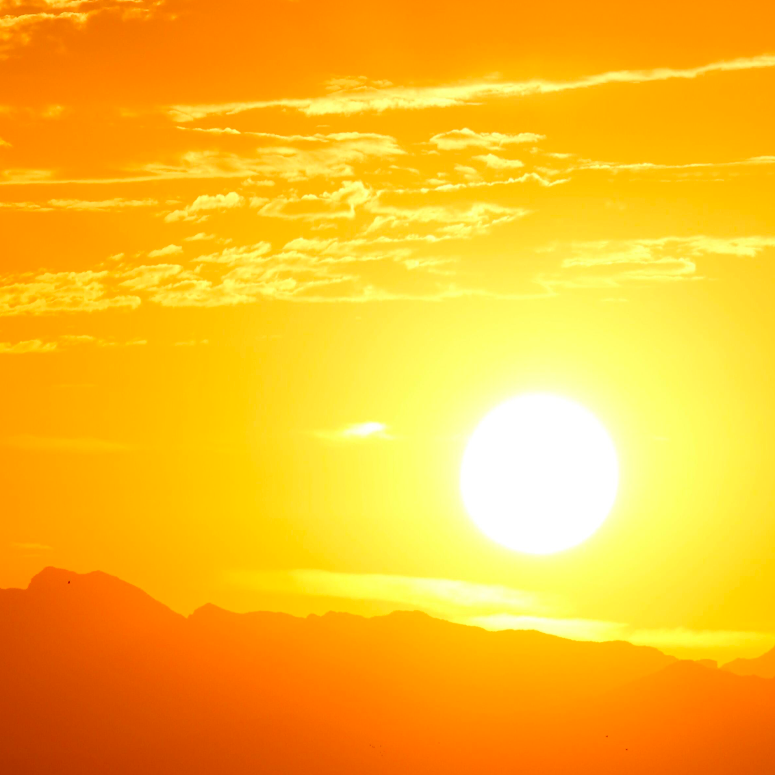 Exclusive Offer: 2 Bridges Replacement Part (2 items) for Ray Ban Folding Wayfarer RB 4105 - (Buy one Get one Free !) - Grey  54 □ 20 (Small Bridge ≈ 14mm)